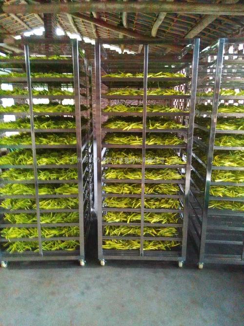 黃花菜烘干機、黃花菜烘干設(shè)備、黃花菜干燥機、黃花菜干燥設(shè)備、